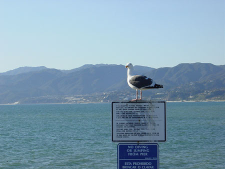 DSC01960.jpg