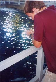 bobby-aquarium.jpg